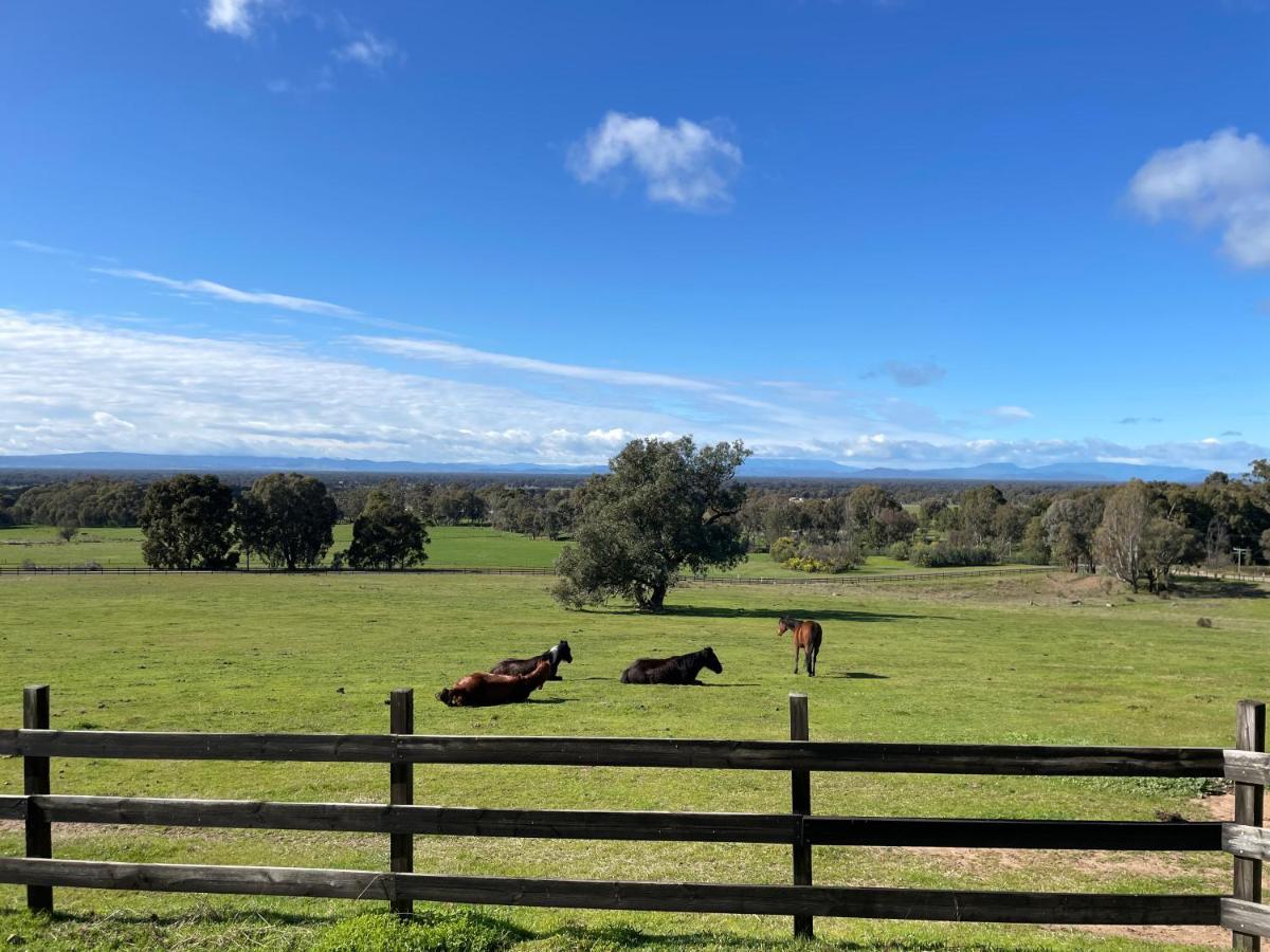 Warby Cottage Wangaratta Luaran gambar