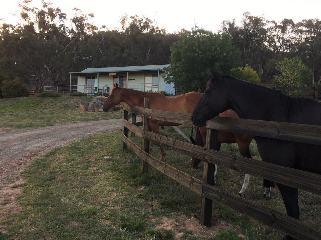 Warby Cottage Wangaratta Luaran gambar